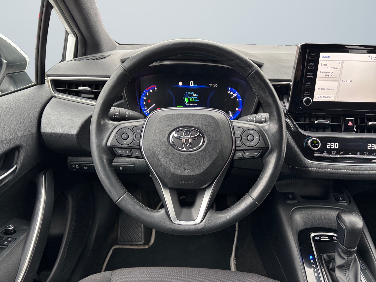 SB1K93BE90E340067_11_steering-wheel-driver