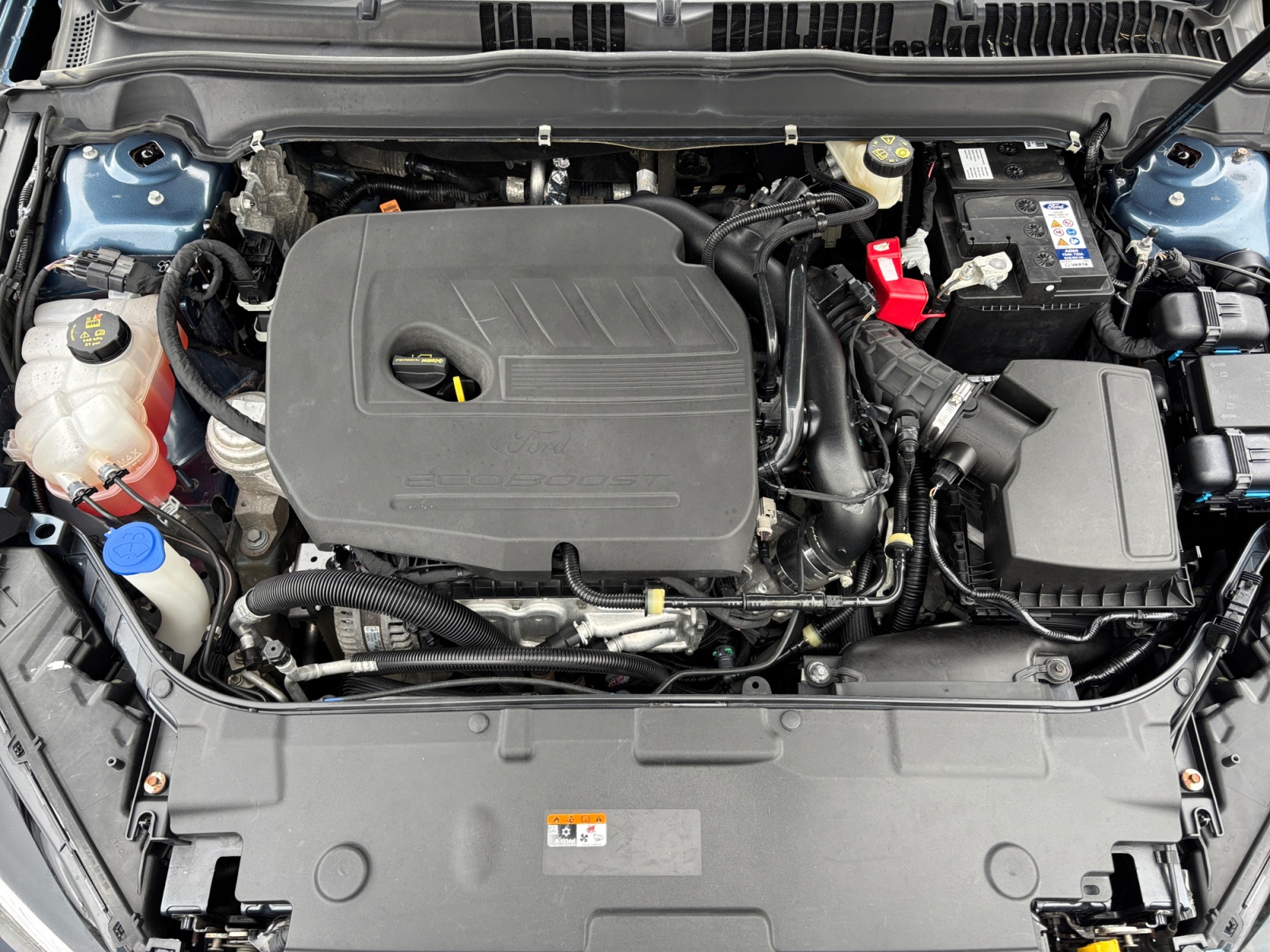 FRDNDE2019BLUEAT1_21_feature-6