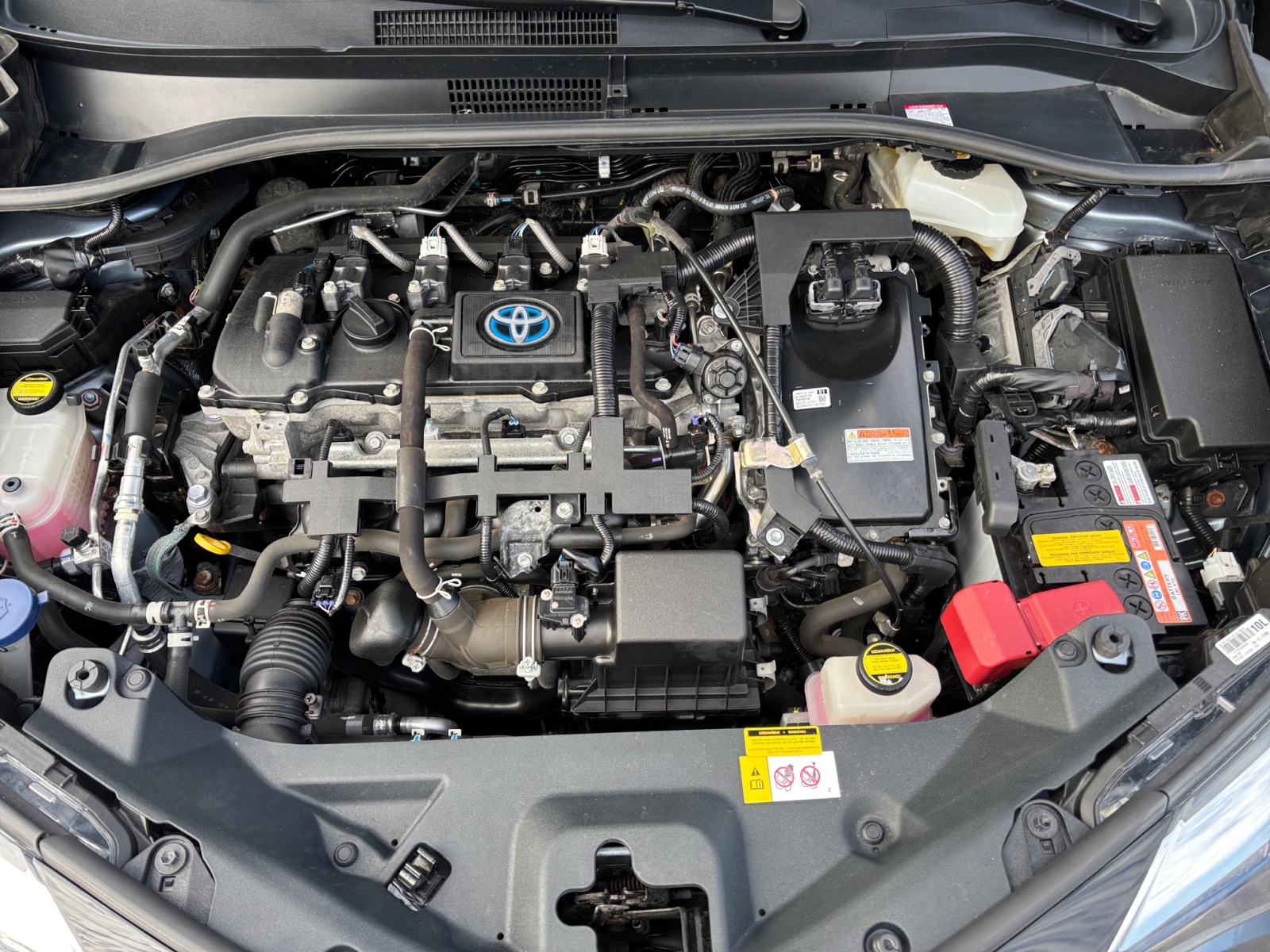 HALVDDKJVVHHVGGHN_26_feature-11